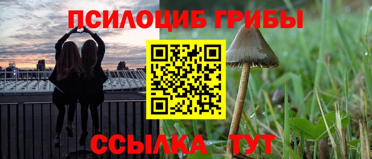 Галлюциногенные грибы прущие грибы Аксай