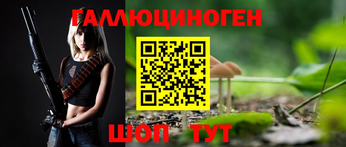 Псилоцибиновые грибы Psilocybine cubensis  Галлюциногенные грибы ЛСД  Вход с VPN  Аксай 