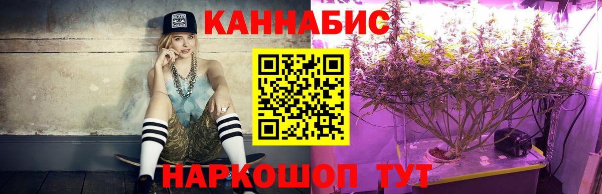 Бошки марихуана план  Марихуана план  Вход с VPN  Аксай 